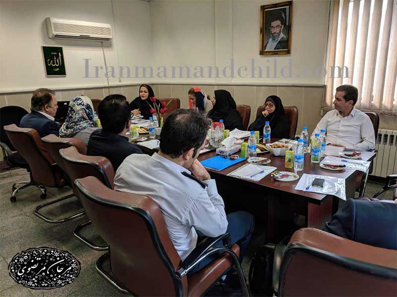 تدوین استاندارد سازی
