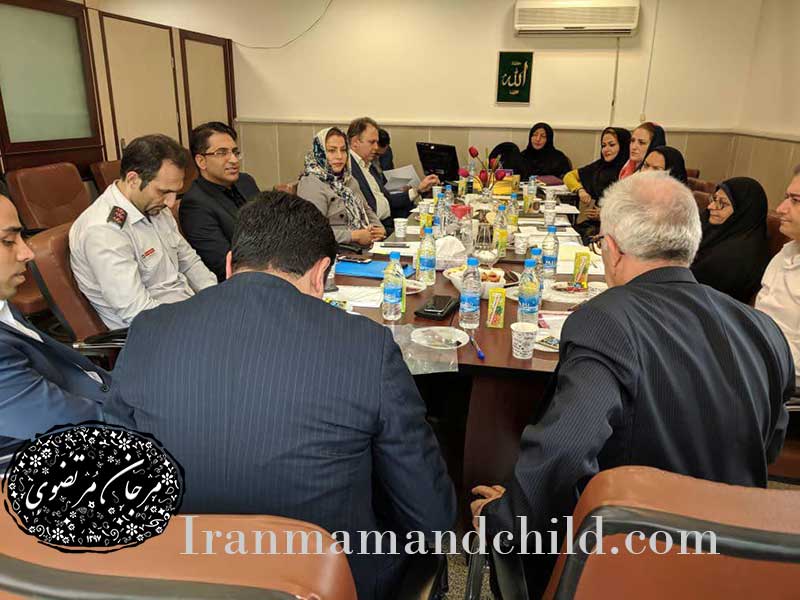 تدوین استاندارد سازی