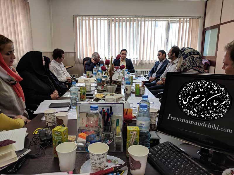 تدوین استاندارد سازی