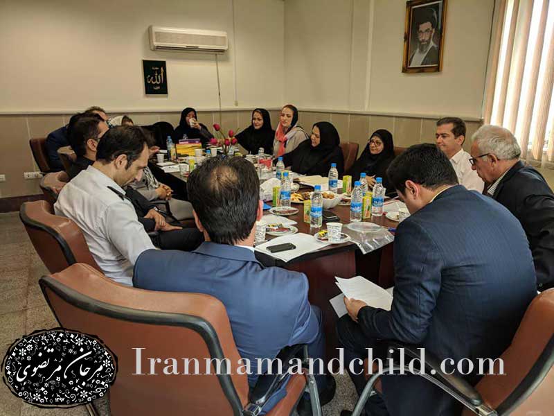 تدوین استاندارد سازی
